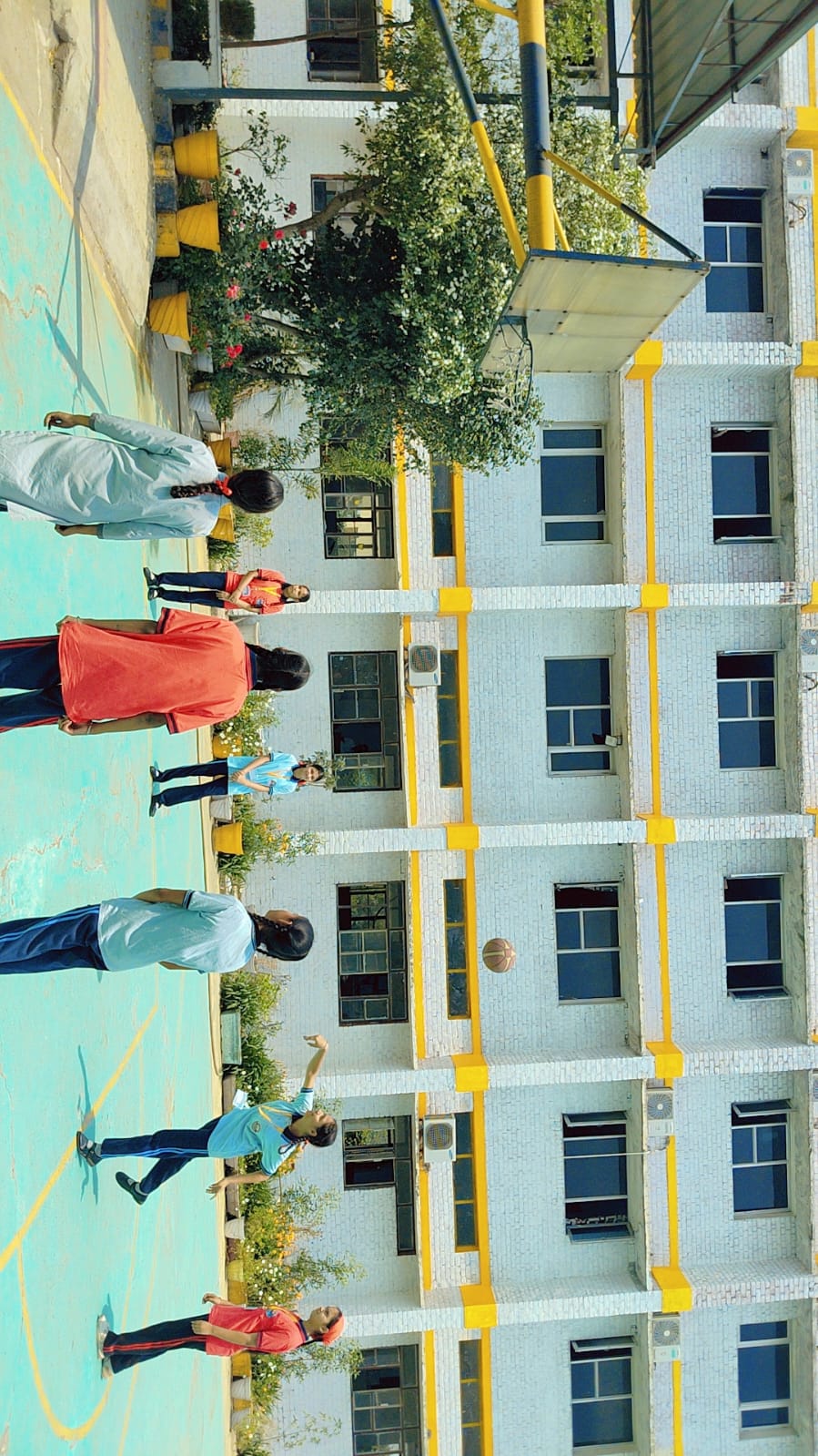 Basketball Court